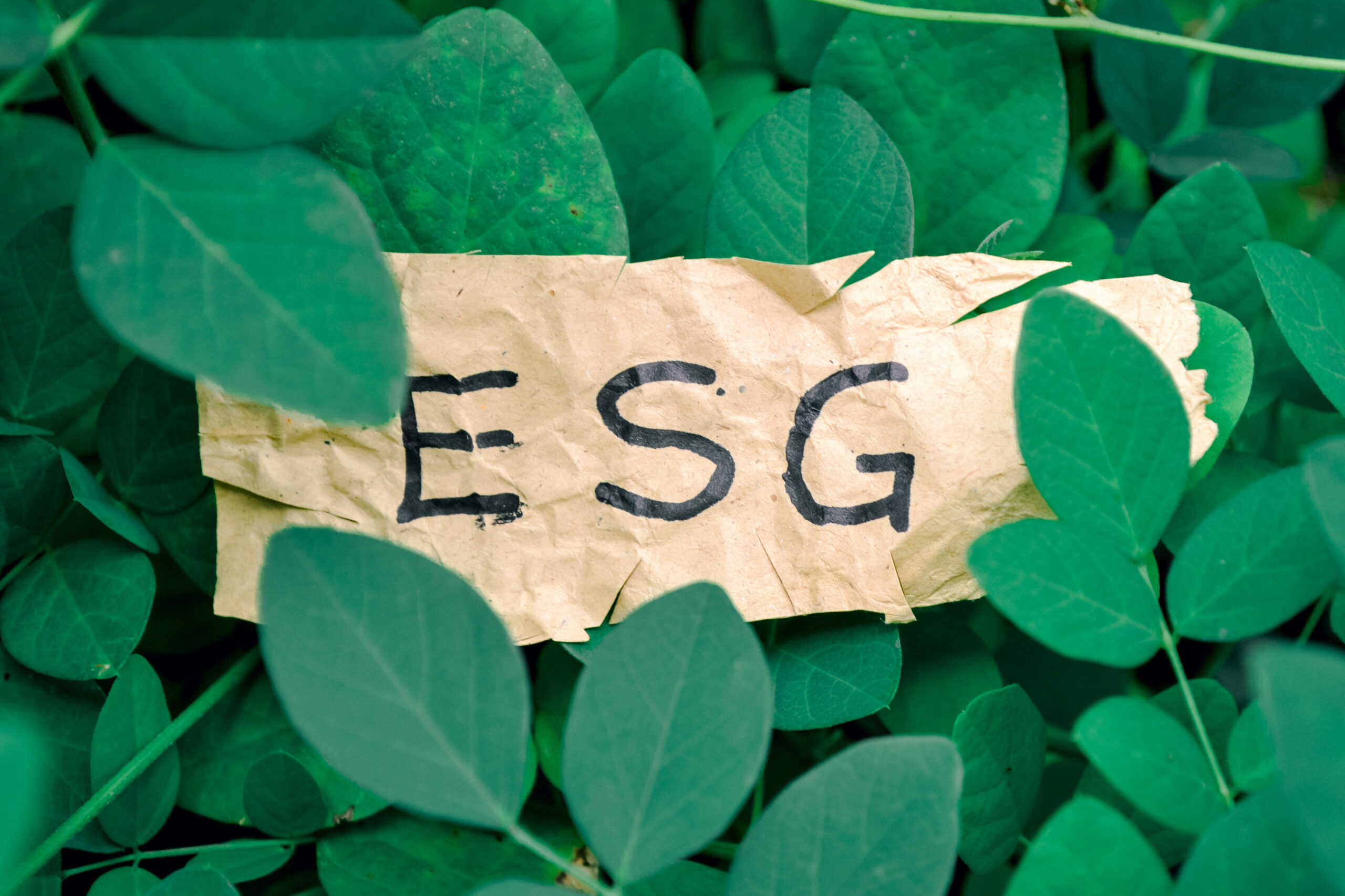 papel marrom escrito ESG em preto dentro de algumas folhagens verde.