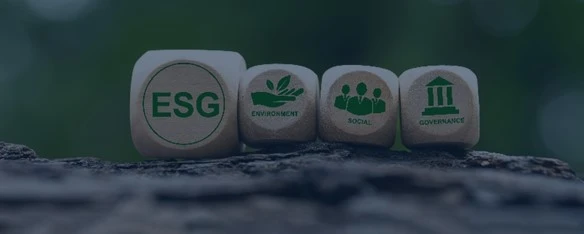 ESG: é possível fazer sem gestão de terceiros?