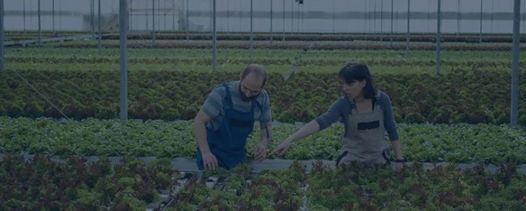 Como eliminar riscos nos alojamentos de trabalhadores do agronegócio