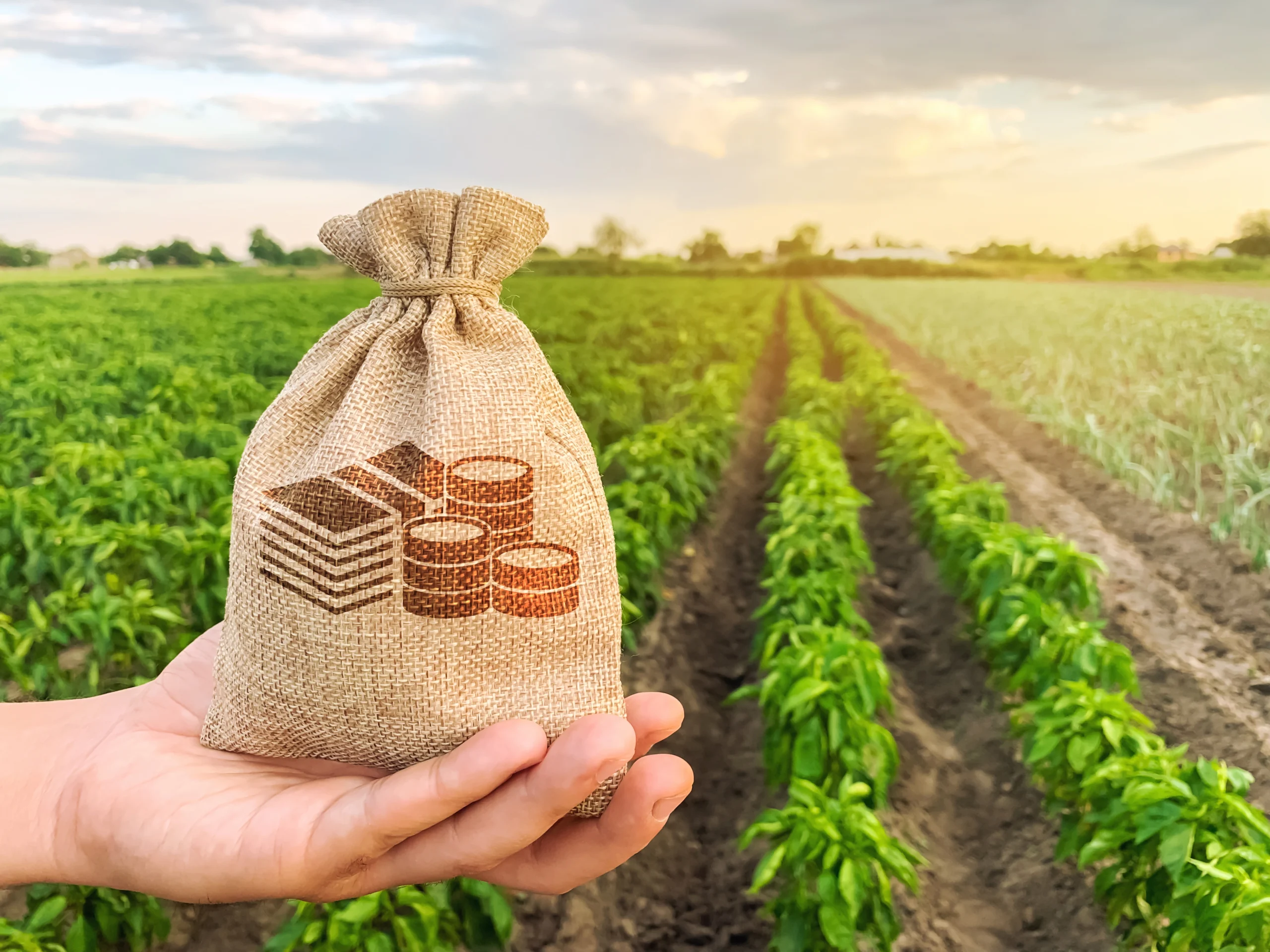 Redução de Impostos para o Agro: Competitividade em Risco e Oportunidades Reais antes da Reforma Tributária